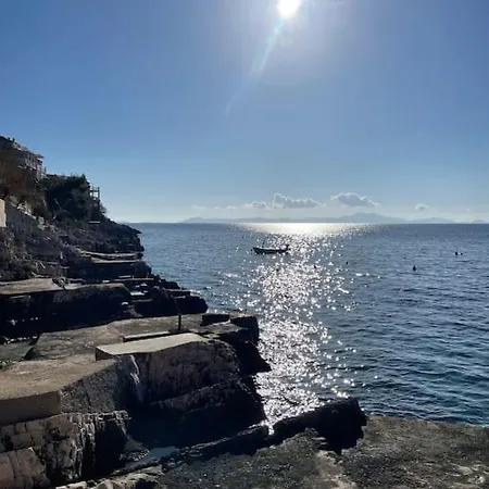 Seaway Zavalatica